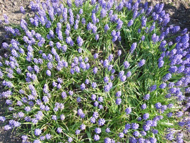 dscf3334.jpg