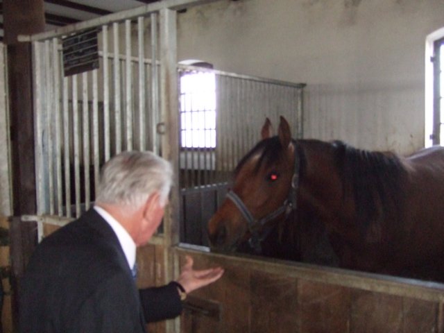 dscf3342.jpg