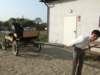 dscf3349_small.jpg
