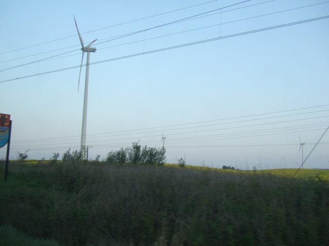 dscf3366.jpg