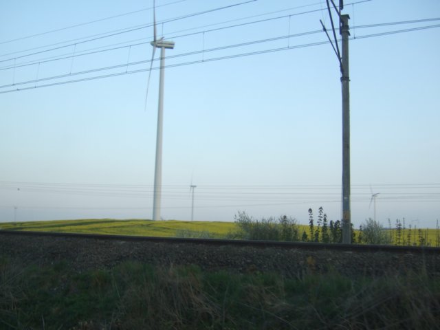 dscf3367.jpg