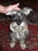 dscf3372_small.jpg