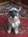 dscf3373_small.jpg