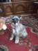 dscf3374_small.jpg