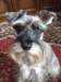 dscf3375_small.jpg