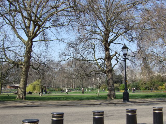 dscf1153.jpg