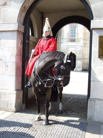 dscf1155.jpg
