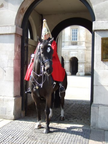 dscf1156.jpg