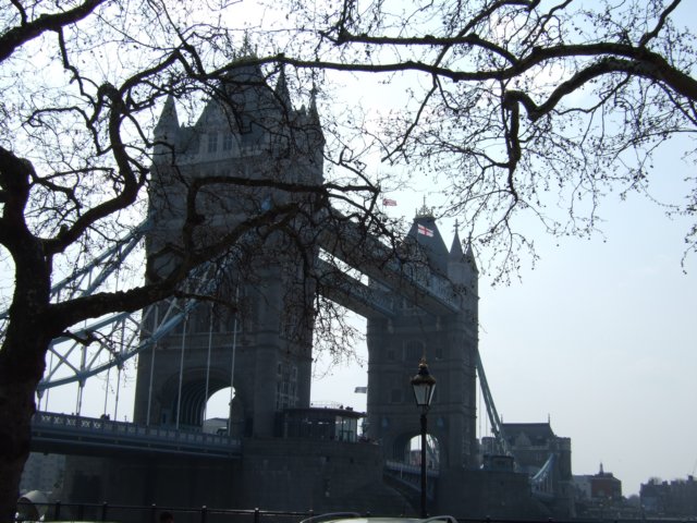 dscf1467.jpg
