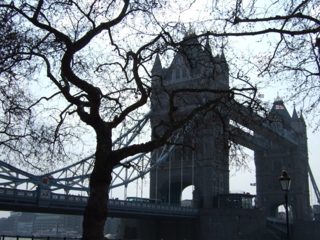 dscf1468.jpg