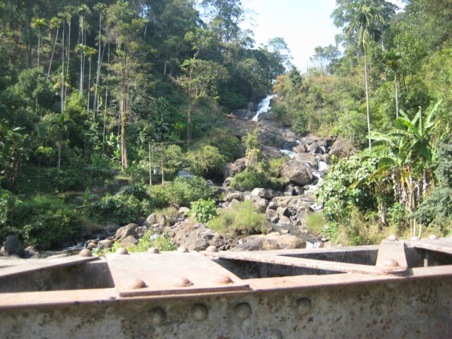 img_1585.jpg