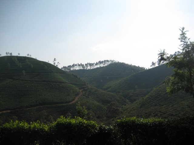 img_1614.jpg