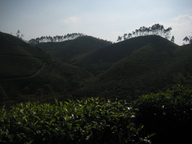 img_1615.jpg