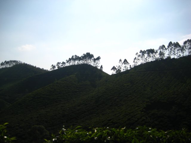 img_1617.jpg