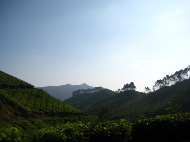 img_1622.jpg