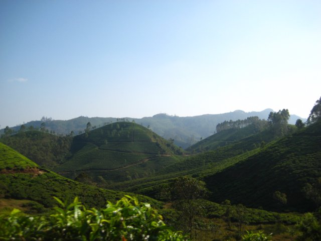 Munnar pictures
