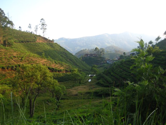 img_1643.jpg